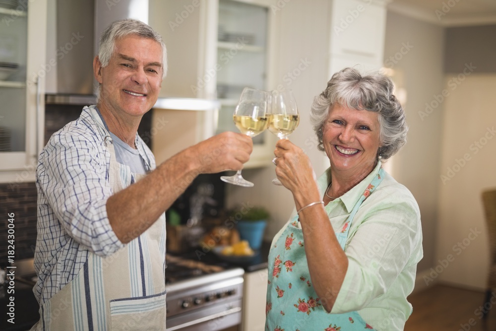Portrait of smiling senior couple toasting wineglasses while