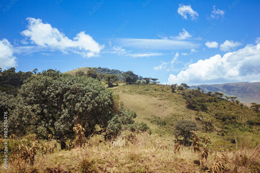 Naklejka premium Serengeti Hill