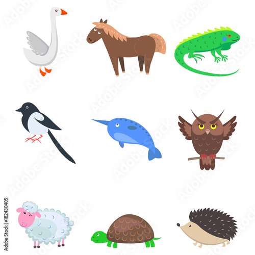 Set of Cartoon Animal Pet and Wild Nine Icons