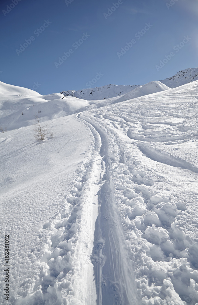 Ski tracks in snow, Villgraten Valley, Hohe Tauern, East Tyrol, Austria Ski tracks in snow, Villgraten Valley, Hohe Tauern, East Tyrol, Austria