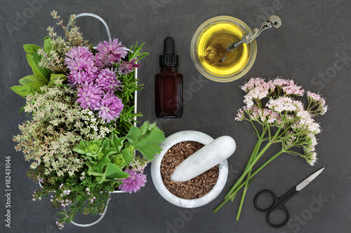 Herbal medicine used in natural alternative remedies with fresh herbs and flowers with valerian, Valium substitute, in a marble mortar with pestle, aromatherapy essential oil bottle and scissors.