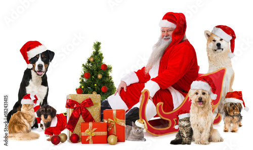 Weihnachtsmann mit Haustieren © DoraZett