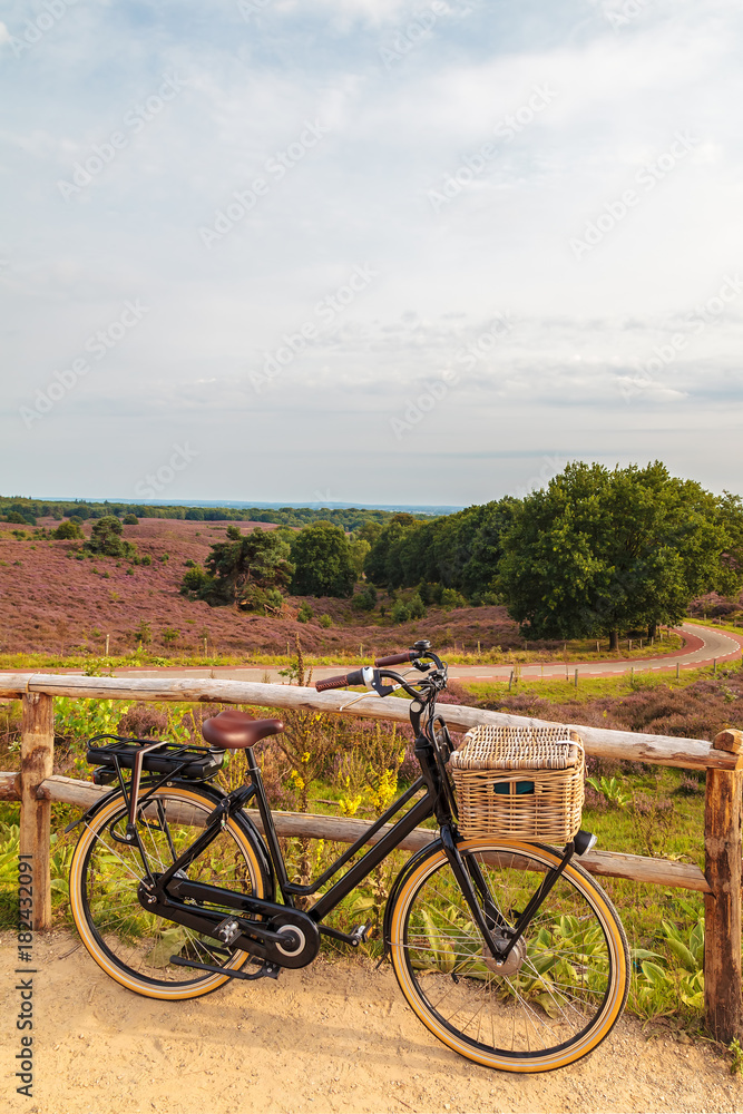 Electric black cargo bicycle with basket in Dutch national park The Veluwe Electric black cargo bicycle with basket in Dutch national park The Veluwe