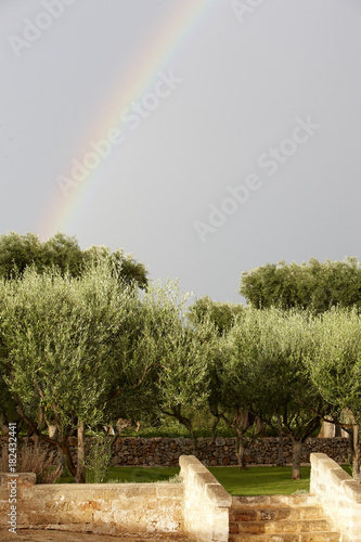 View towards a rainbow, Masseria, Alchimia, Apulia, Italy photo