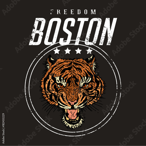 Tiger head with rock and roll slogan. Freedom Boston slogan. Typography graphic print, fashion drawing for t-shirts .Vector stickers,print, patches vintage rock style