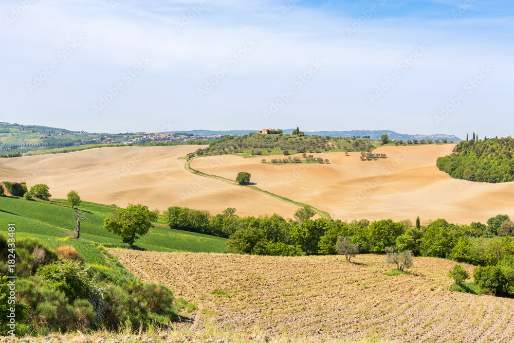 Fototapeta premium Rural landscape view with rolling fields