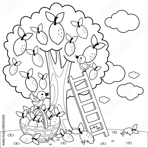 Download Lemon Tree Harvesting Coloring Book Page Stock Vector Adobe Stock
