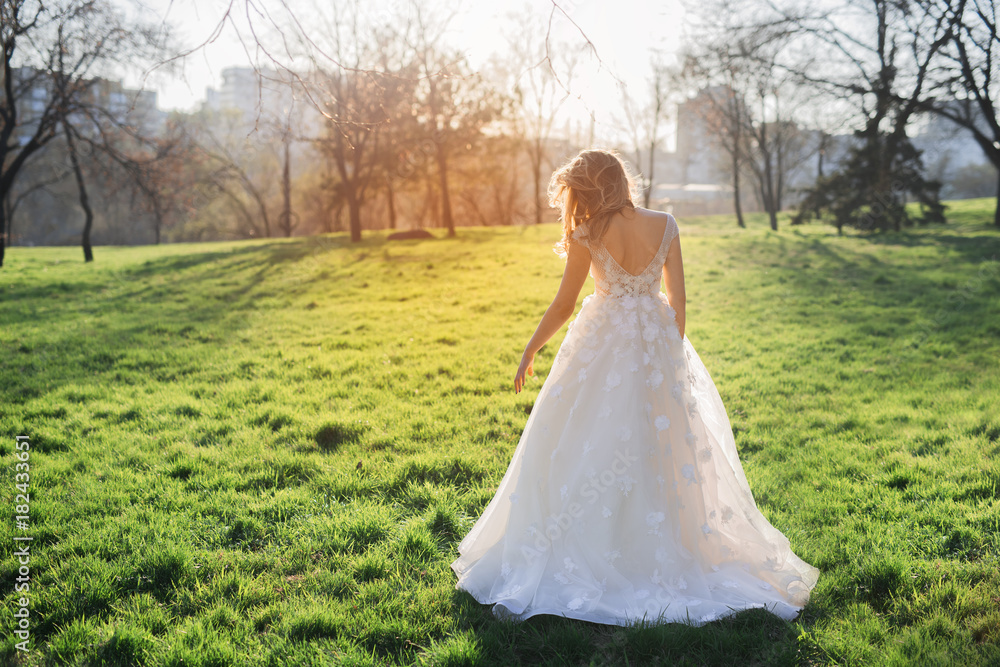 Beautiful bride on sunset in park, back view. Beautiful bride on sunset in park, back view.