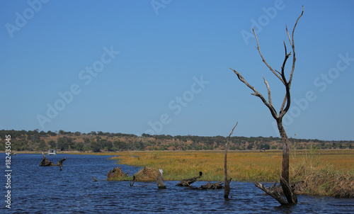 Rïo Cuando, Parque Nacional Chobe, Botswana photo