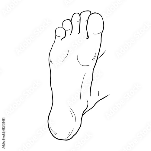 the foot male up sole.  illustration