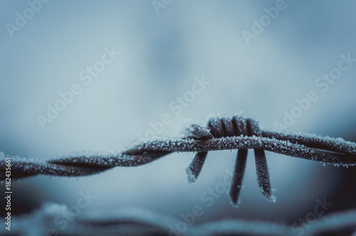 Stacheldrahtzaun gefroren im Winter, Grenze photo