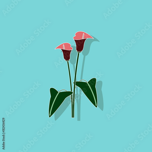 paper sticker on background of flower calla