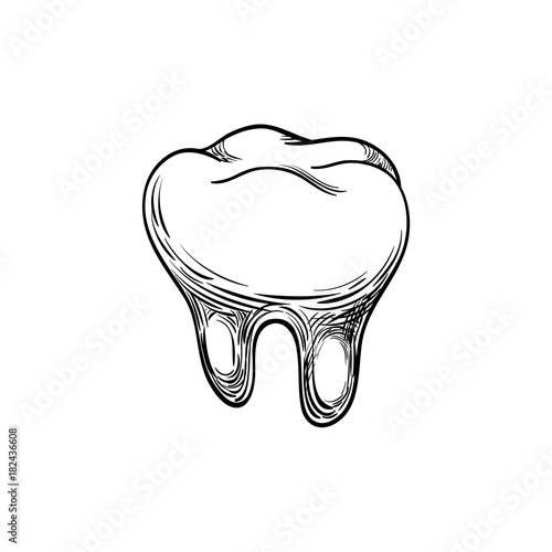 Hand-drawn dental clinic logo. Black lines sketch molar, tooth icon. Doodle drawing object, sign for design illustration, for dentistry brochure, medical manuals, books or packaging. Isolated vector
