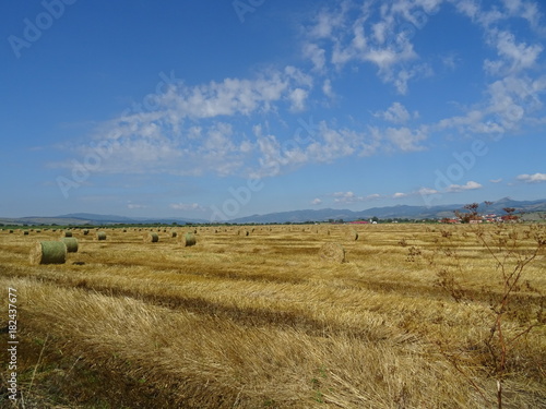 haystacks on a field 2