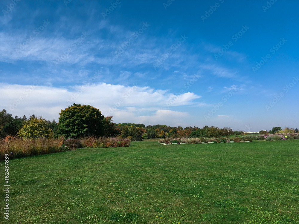 Fototapeta premium Natural landscape