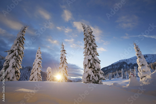Winter scenery, Passo Monte Croce di Comelico, South Tyrol, Italy photo