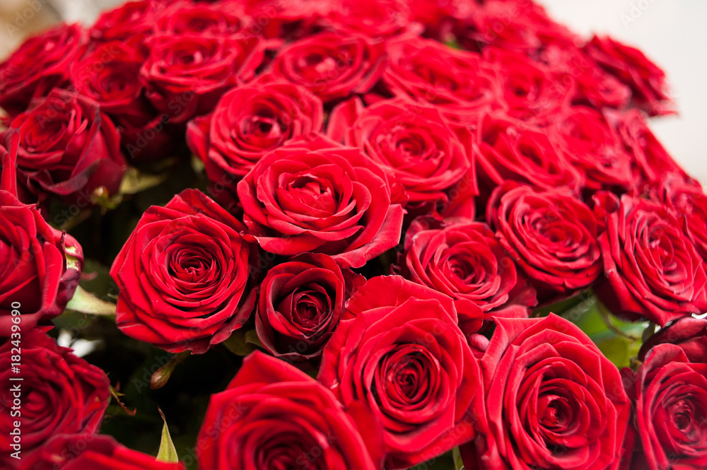 Big bouquet of roses Big bouquet of roses