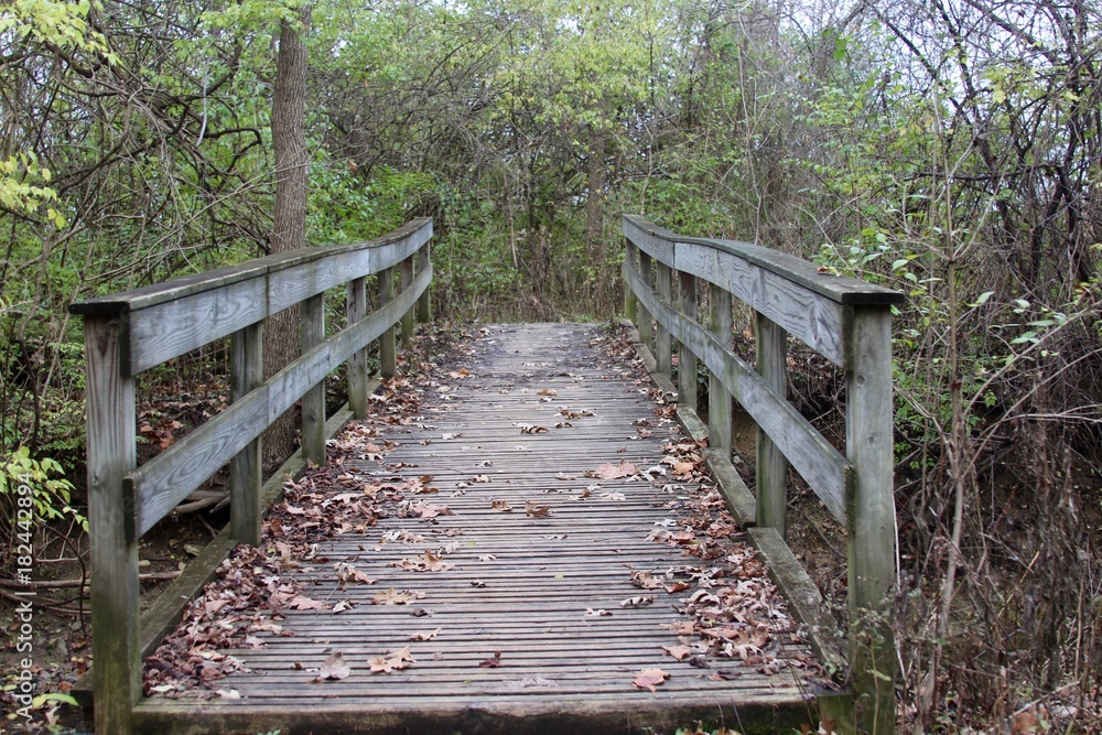 A front view of the old wood bridge in the forest on the trail.
