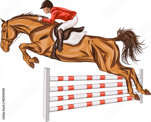 Rider and a horse are jumping over an obstacle, are in mid-air.