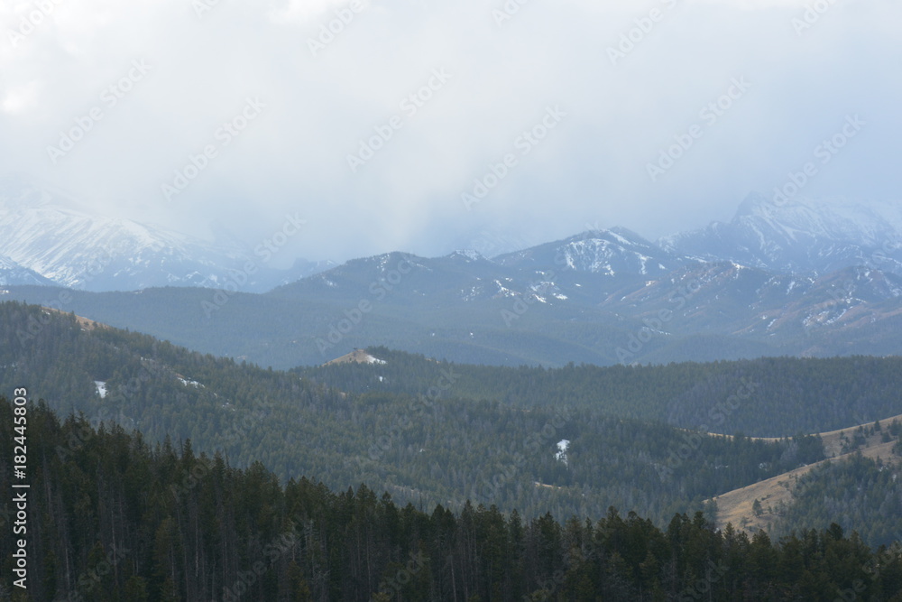 Naklejka premium Forest tops to mountain