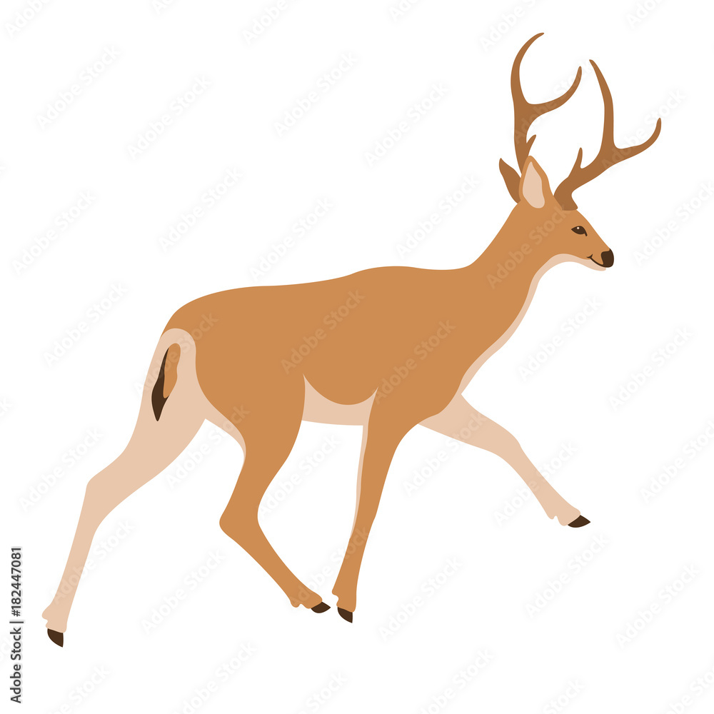deer vector illustration profile side flat deer vector illustration profile side flat