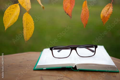 An open book and glasses on a table in the autumn garden. Yellow leaves.