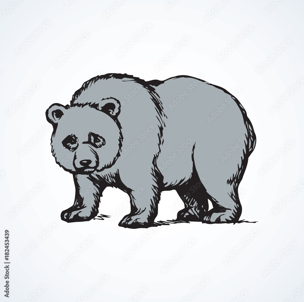 Obraz premium Panda. Vector drawing