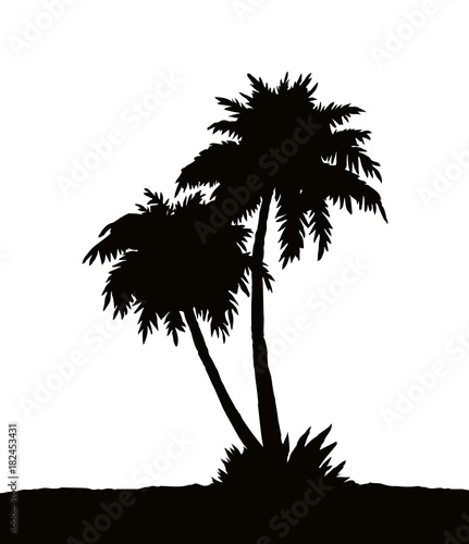 Palm on beach.  Vector drawing