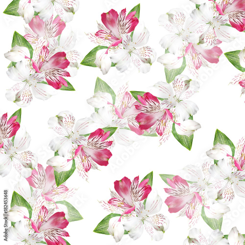 Beautiful floral background of white and pink alstroemerias
