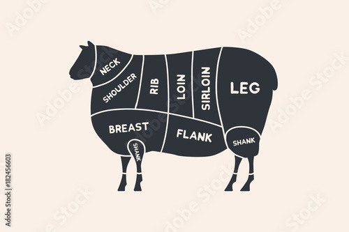 Meat cuts. Diagrams for butcher shop. Scheme of lamb. Animal silhouette lamb. Vector illustration.