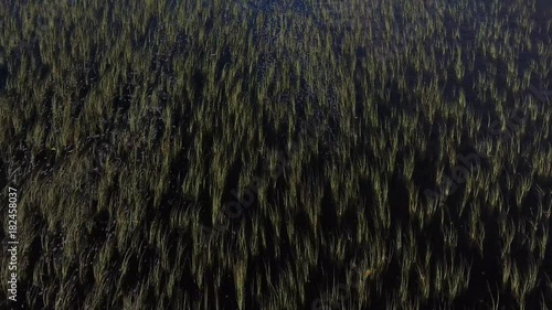 Aerial shot of Loch Oich, Scotland photo