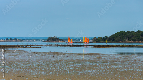 Old boats with beautiful bright sails, sinagot, traditional boats in the golfe du Morbihan, in Brittany    © Pascale Gueret