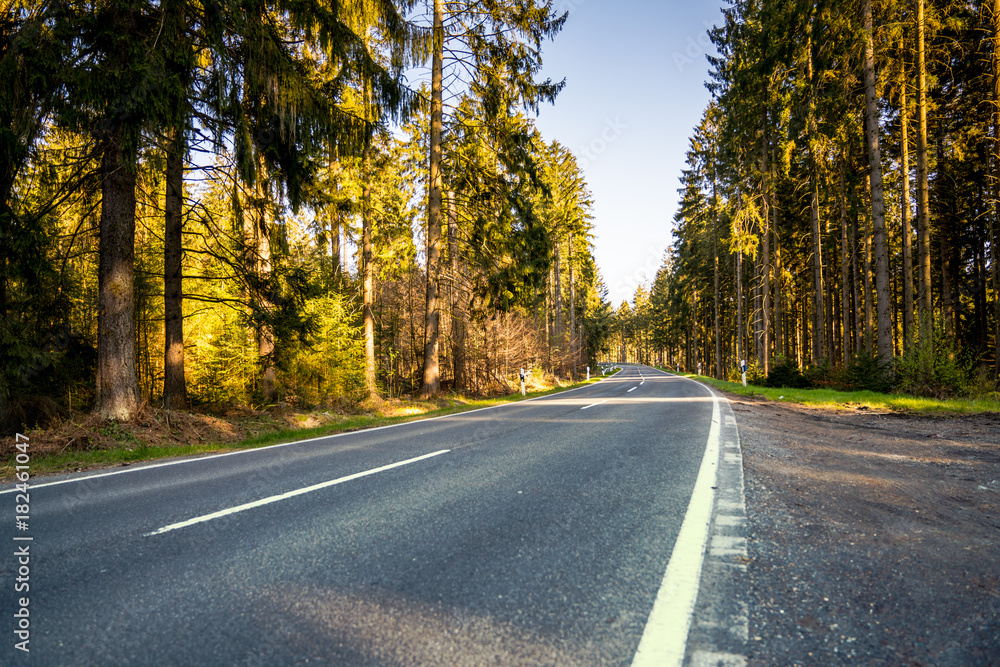 highway into Silent Forest in spring with beautiful bright sun rays highway into Silent Forest in spring with beautiful bright sun rays