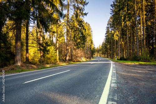 highway into Silent Forest in spring with beautiful bright sun rays