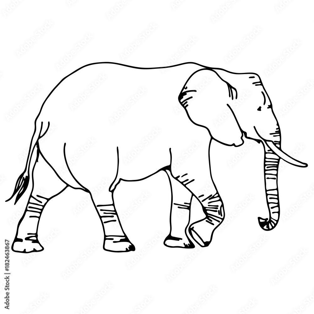 black and white vector elephant silhouette