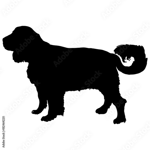 labrador retriver silhouette vector