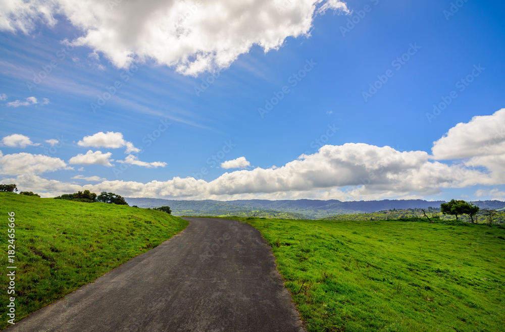 Road and green field Road and green field