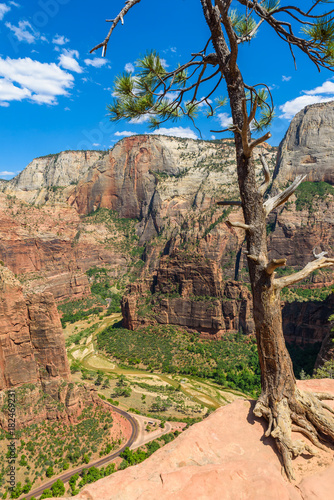 View of Zion Canyon and Virgin River, Beautiful scenery in Zion National Park along the Angel's Landing trail, Utah, USA
