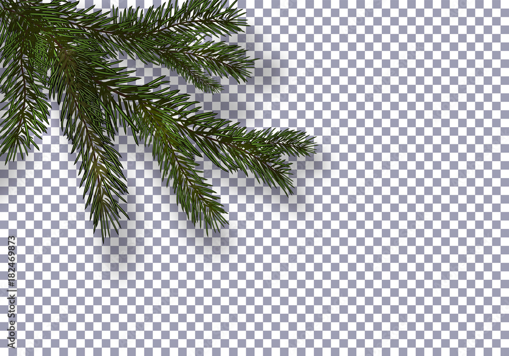 Christmas, New Year. Realistic green tree branch and its shadow. Against the background of the checkered. illustration - obrazy, fototapety, plakaty 