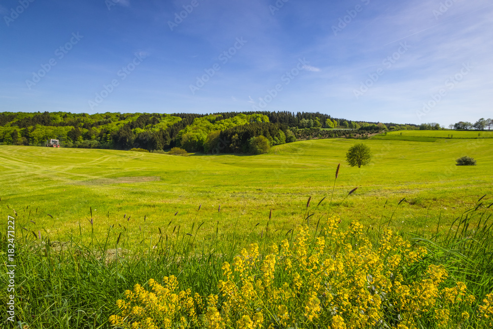 Meinerzhagen im Frühling