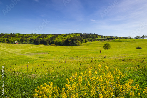 Meinerzhagen im Frühling