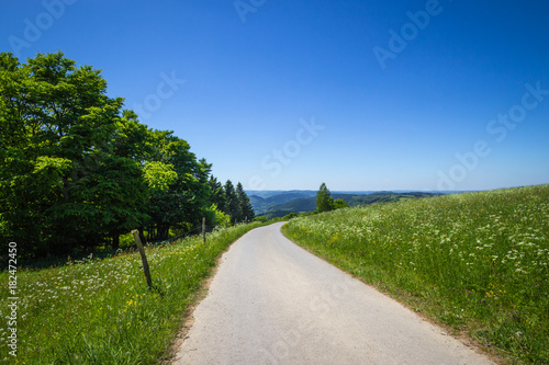 Wildewiese im Frühling