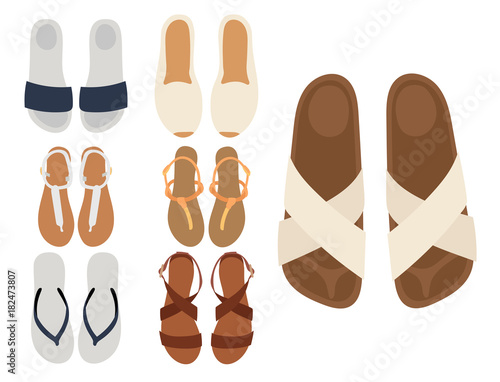 Slippers vector beach summer multicolored female slippers isolated on white casual summer footwear pair design