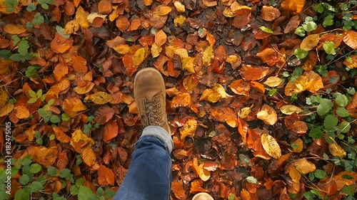 Man walking on a ground covered with leaves during autumn season. Shot from above, slow motion