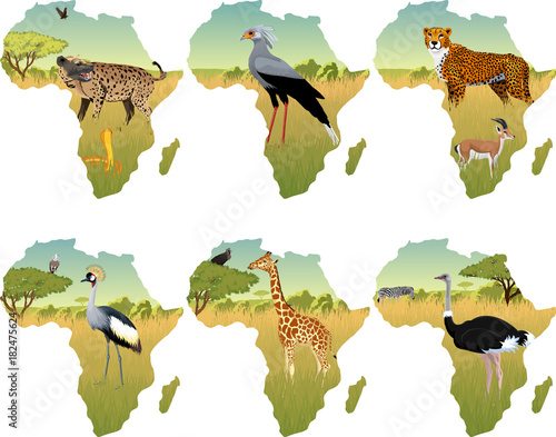 African savannah with secretary bird, crowned crane, hyenna, cobra, cheetah, gazelle, giraffe, ostrich and zebra - vector illustration