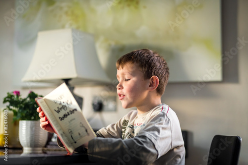 School boy reading book in the living room photo