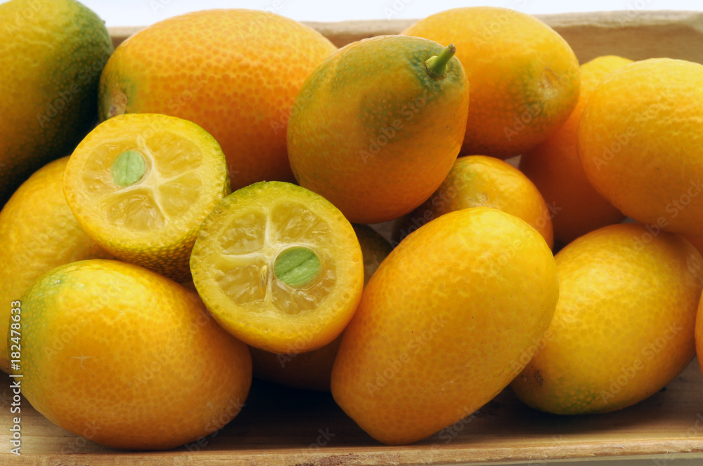 Citrus japonica キンカン Cumquat Kumkwat Kumquat קומקוואט Cumquats Kumkvatit კინკანი Limequat برتقال ياباني Kumquats 금귤 Fruit Fortunella 金柑 Кумкват Citrus japonica キンカン Cumquat Kumkwat Kumquat קומקוואט Cumquats Kumkvatit კინკანი Limequat برتقال ياباني Kumquats 금귤 Fruit Fortunella 金柑 Кумкват