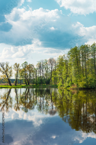 Trees and sky reflecting at pond Bialowieza National Park Poland