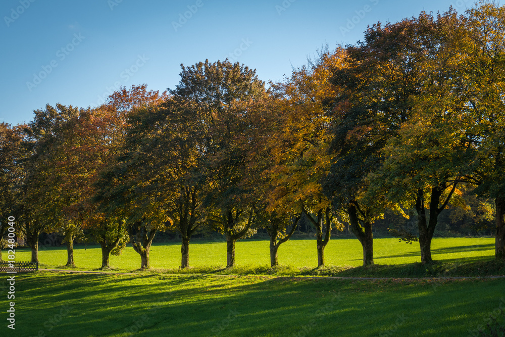 Naklejka premium Nachrodt-Wiblingwerde im Herbst