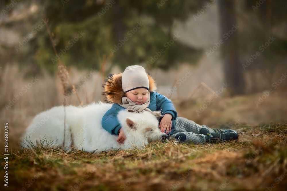 Boy with white Samoyed dog Boy with white Samoyed dog